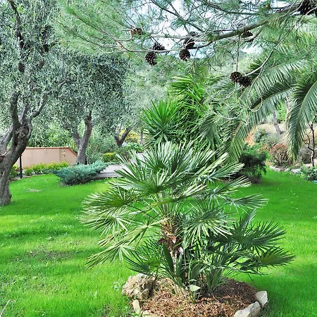 Le Maree Lorena Daire Porto Azzurro